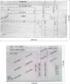 4c0a284b4d1bb308b1a981d3b814